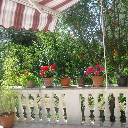 Apartments Grzunov Zadar Ruang foto