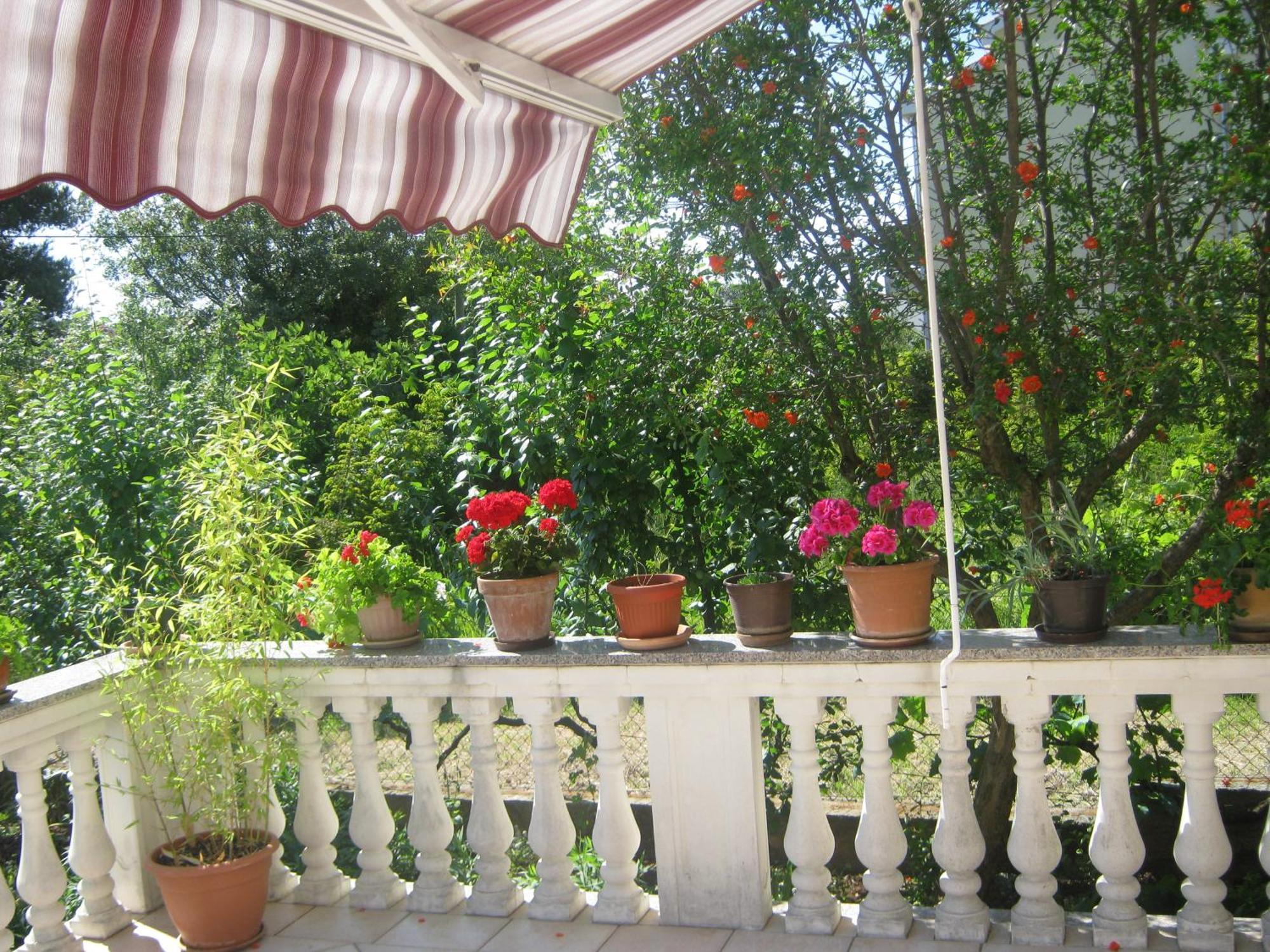 Apartments Grzunov Zadar Ruang foto